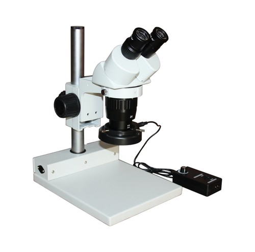 Microscopio stereo binoculare