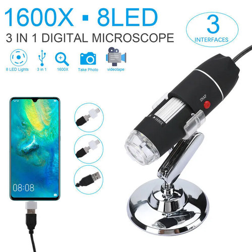 1600x microscopio elettronico - microscopio,