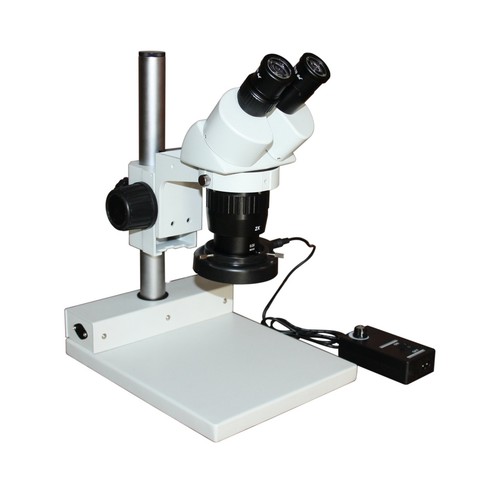 Microscopio stereo binoculare