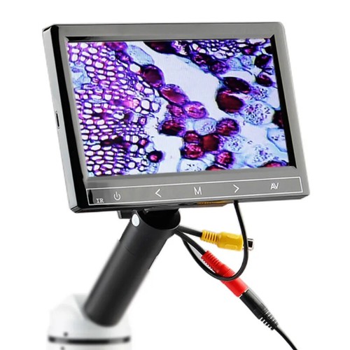 Schermo display microscopio - display,