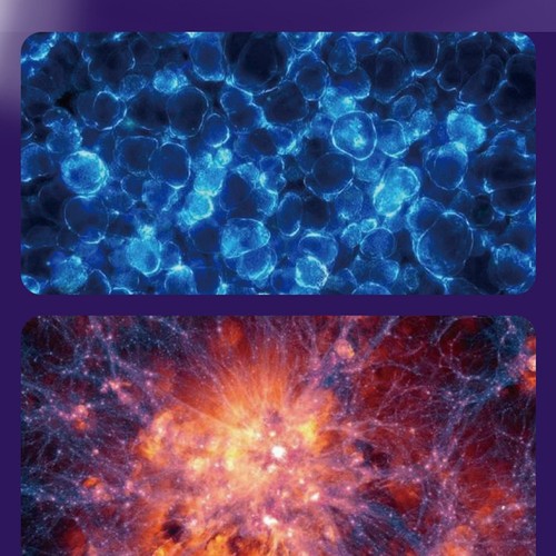 Microscopio ottico 60x - ottico, 60x-120x